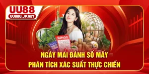 Ngày Mai Đánh Số Mấy? Phân Tích Xác Suất Thực Chiến